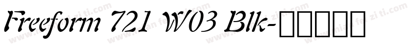 Freeform 721 W03 Blk字体转换